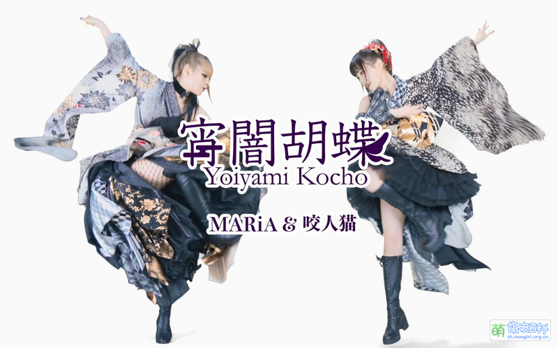 File:宵夜蝴蝶 咬人猫.jpg