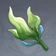 海草.png
