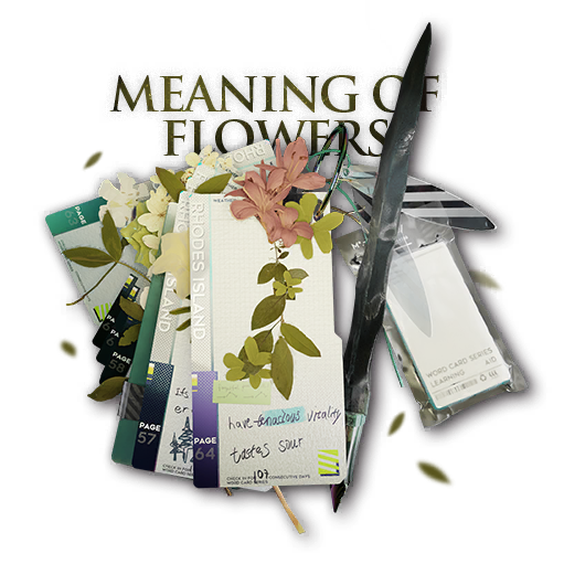 "这些花朵的含义"