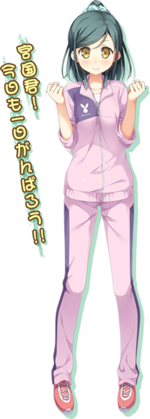 File:Char img chisa.png