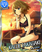 白南风的淑女 SR