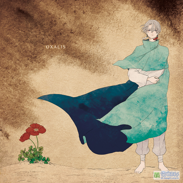 File:GOHGO OXALIS.jpg