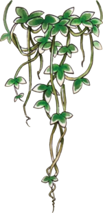 原作中的藤蔓触手怪/常春藤触手怪