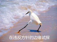 在违反方针的边缘试探