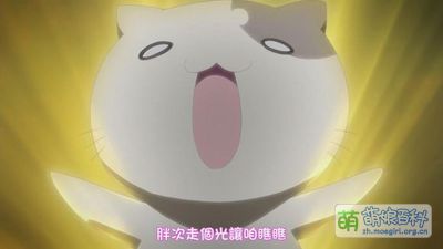 绅士猫 - 萌娘百科 万物皆可萌的百科全书