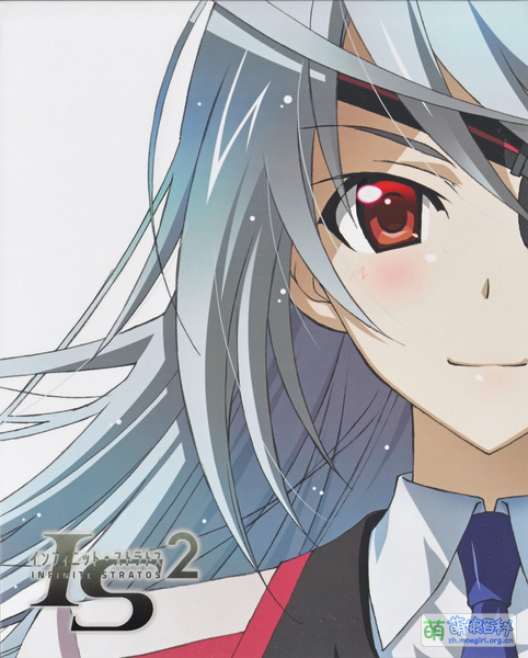 File:Infinite Stratos 2 BD 05.jpg