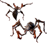 MHWilds 稚影蜘蛛立绘