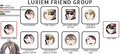 LUXIEM FRIEND GROUP