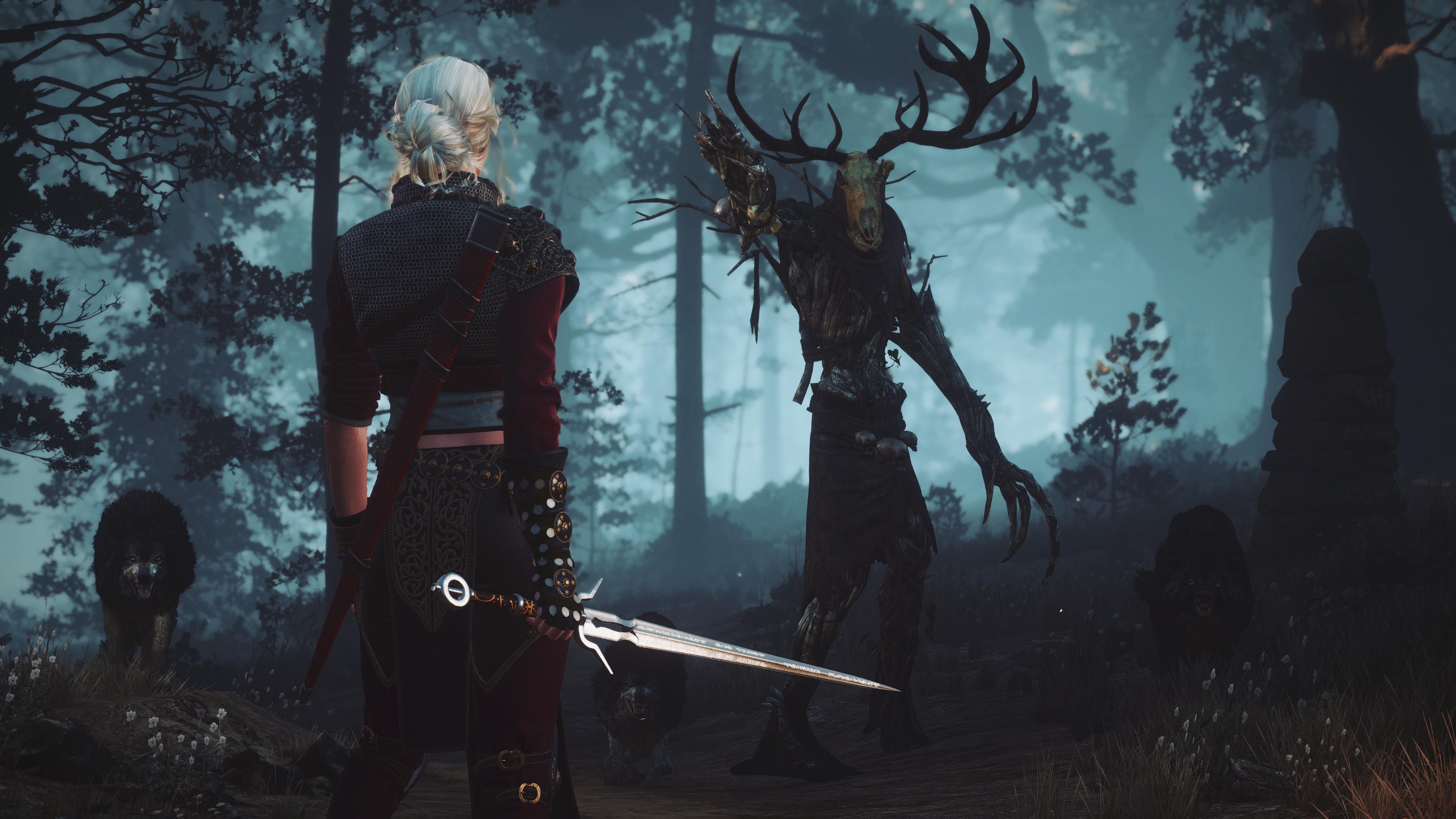 Ciri_vs_Leshen.jpg
