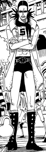 File:Gem camouflage.png