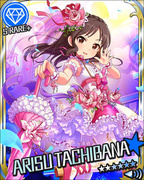 梦中的小仙子 SR+