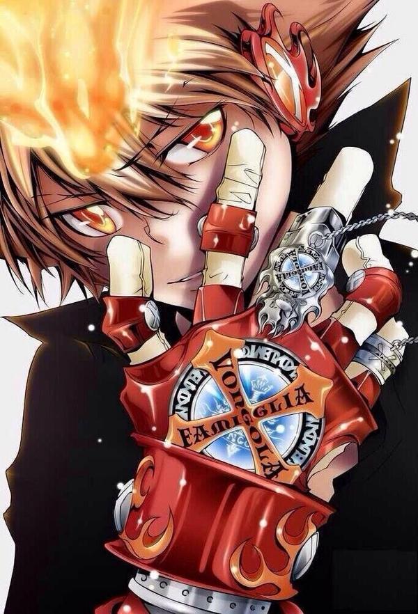 泽田纲吉- 萌娘百科万物皆可萌的百科全书