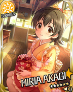 乖巧女仆小姐 SR+