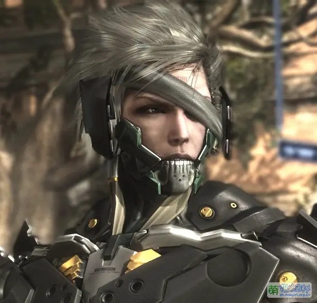 File:RaidenMGRR.webp - 萌娘百科 万物皆可萌的百科全书