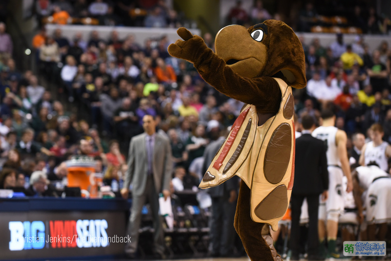 File:Testudo Cosplay.jpg