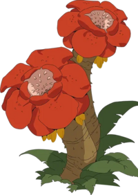 动画中的一种食人植物