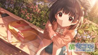 ときどきシーソー SSR