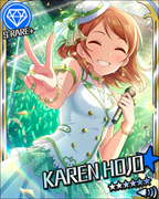 Anniversary Princess SR+