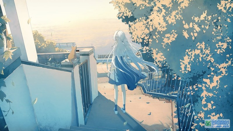 File:像做梦一样 志茉理寿.jpg