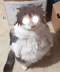 老师常用表情包