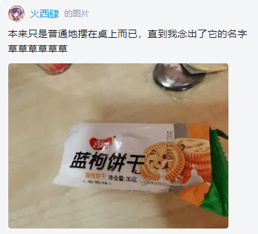 火西肆与蓝枸饼干