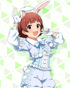 耳としっぽシリーズ　SR