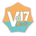 V17LOGO（旧版）
