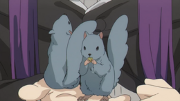 菲伦把玩着的两只种子鼠