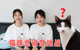 猫咪忠诚度挑战