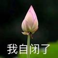 2026年4月9日 (四) 08:37版本的缩略图