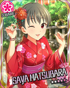 盛装艳服的夏天 SR