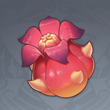 赤念果.png