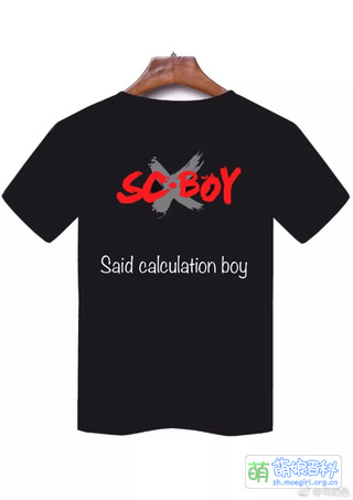 S(aid)C(alculation)boy