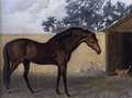 英国画家George Stubbs绘制的高多芬阿拉伯