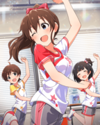 ミックスナッツ SR