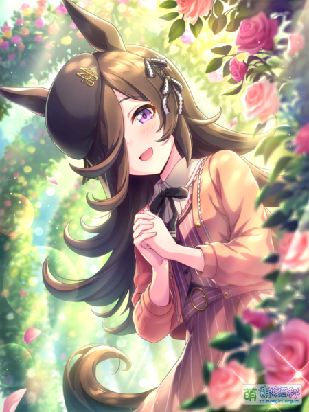 File:UPDSC 30034 RiceShower.png