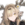 伯塔尼