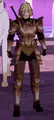 锈迹骑士（Rusted Knight）