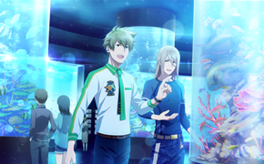 マリンブルーの眺望 SSR