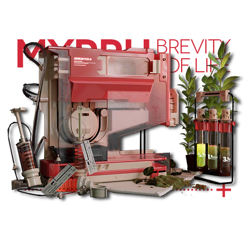 "“生命的短暂”"