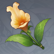 金鱼草.png