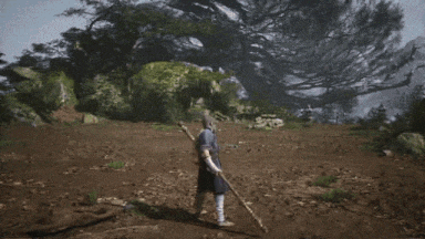 File:法宝 定风珠 演示.gif