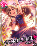 向日葵色的音乐会 SR+