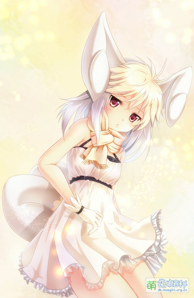 File:49355498 p4.jpg