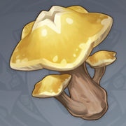 星蕈.png