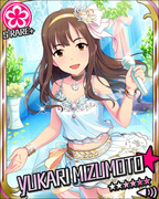 素颜的大小姐 SR+