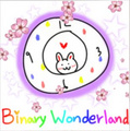 Binary Wonderland