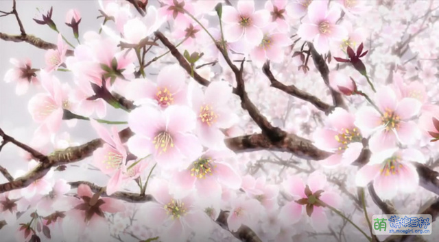 樱 - 萌娘百科 万物皆可萌的百科全书