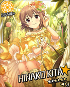 尚未实现的梦 SR+