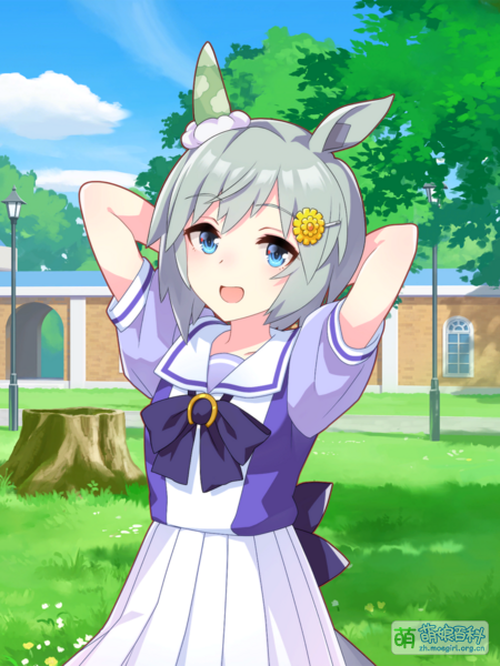 File:UPDSC 10014 SeiunSky.png